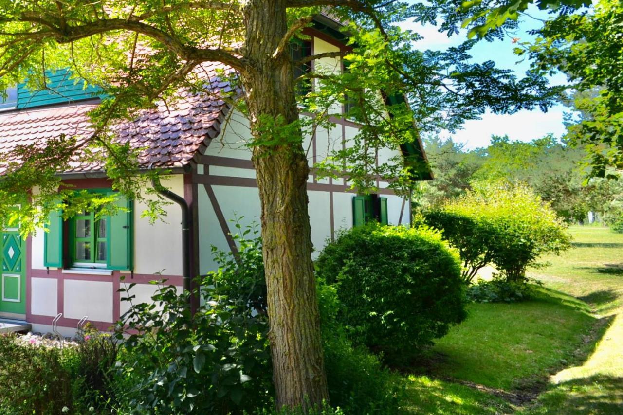 Strandnahe Ferienwohnung Ruegen Dranske Exterior foto